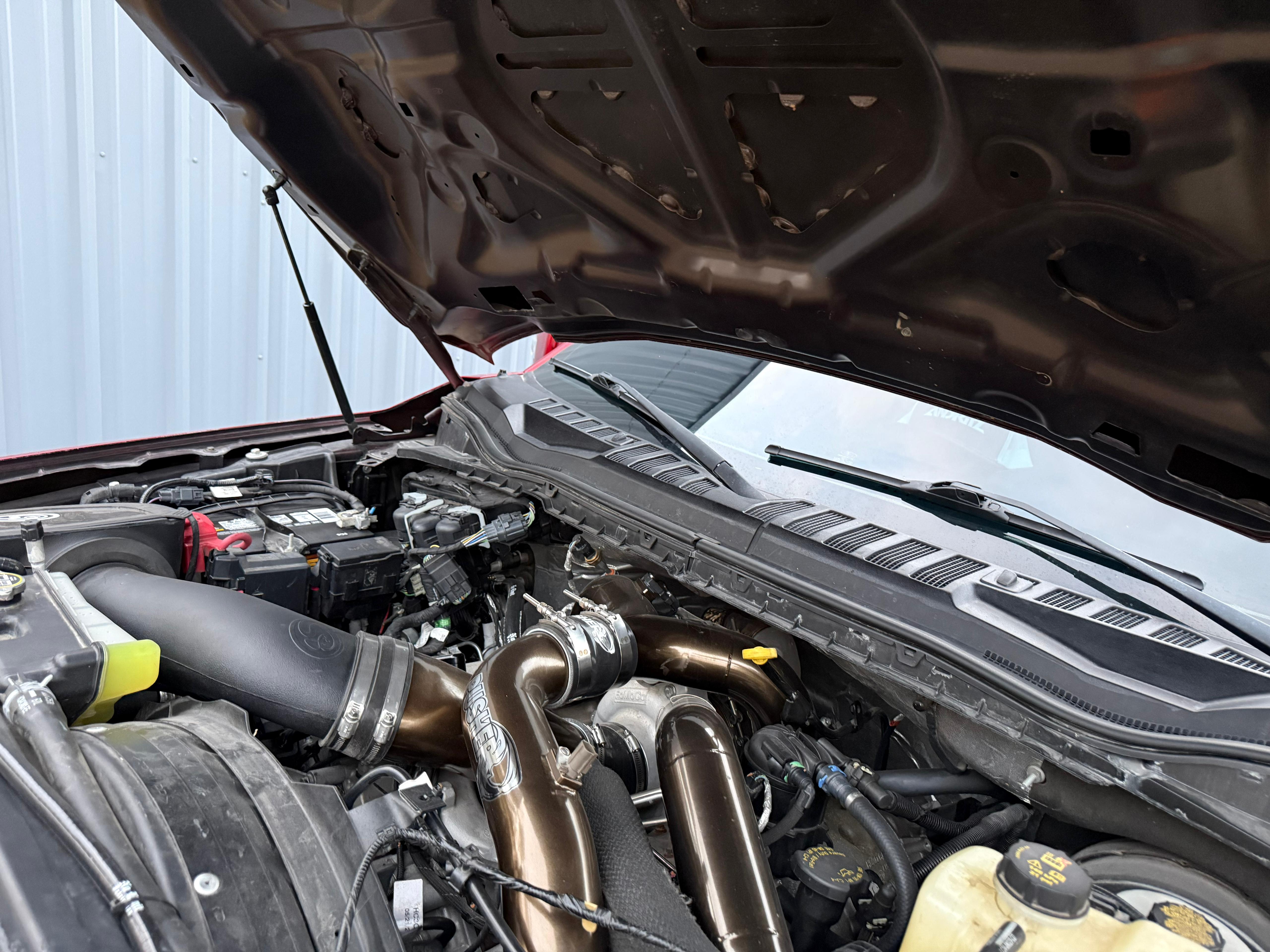 WhatsApp Image 2026-01-22 at 12